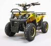 Квадроцикл GreenCamel Гоби K40 (36V 800W R6 Цепь) быстросъем Квадроцикл GreenCamel Гоби K40 (36V 800W R6 Цепь) быстросъем