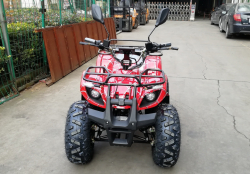 Квадроцикл GreenCamel Атакама T320 (48V20Ah 1000W R8)