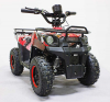 Квадроцикл GreenCamel Гоби K45 (36V 800W R6 Цепь) быстросъем, ножной тормоз Квадроцикл GreenCamel Гоби K45 (36V 800W R6 Цепь) быстросъем, ножной тормоз
