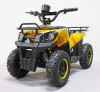 Квадроцикл GreenCamel Гоби K45 (36V 800W R6 Цепь) быстросъем, ножной тормоз Квадроцикл GreenCamel Гоби K45 (36V 800W R6 Цепь) быстросъем, ножной тормоз