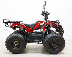 Квадроцикл GreenCamel Атакама T120 (48V20Ah 800W R8 Цепь)
