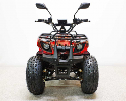 Квадроцикл GreenCamel Атакама T120 (48V20Ah 800W R8 Цепь)