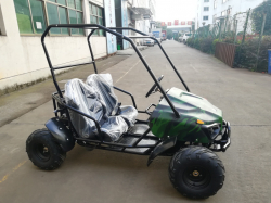 Багги GreenCamel Намиб T009 (60V20Ah 1500W R7) Дифф