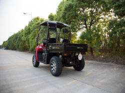 UTV GreenCamel Linhai LH50DU (4kW AC, R12 литые) LUX UTV GreenCamel Linhai LH50DU (4kW AC, R12 литые) LUX